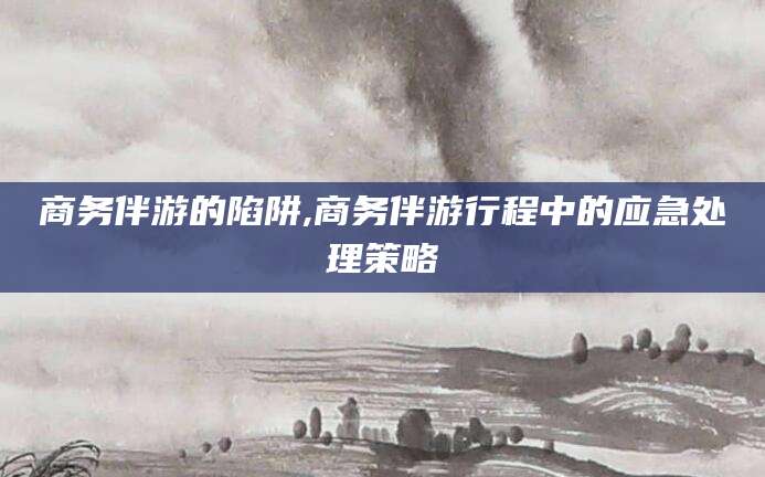 毕节商务伴游的陷阱,商务伴游行程中的应急处理策略